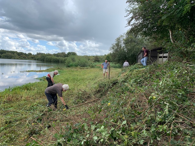 Reed clearance
