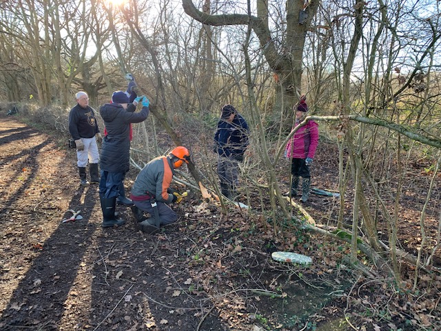 Hedgelaying